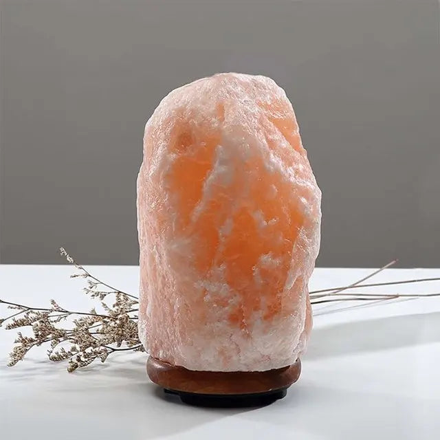 Himalayan Salt Lamp Home Decor Light