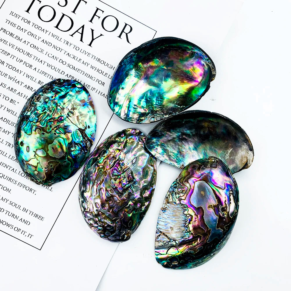 Natural Abalone Shell Spiritual Pendant Charms