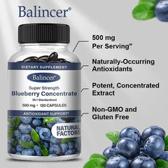 A bottle of Blueberry Capsules - 500 Mg is pictured amid blueberries. Features: 500 mg per serving, antioxidants for brain, heart, eye, and skin health; concentrated extract; non-GMO; gluten free—120 convenient capsules.