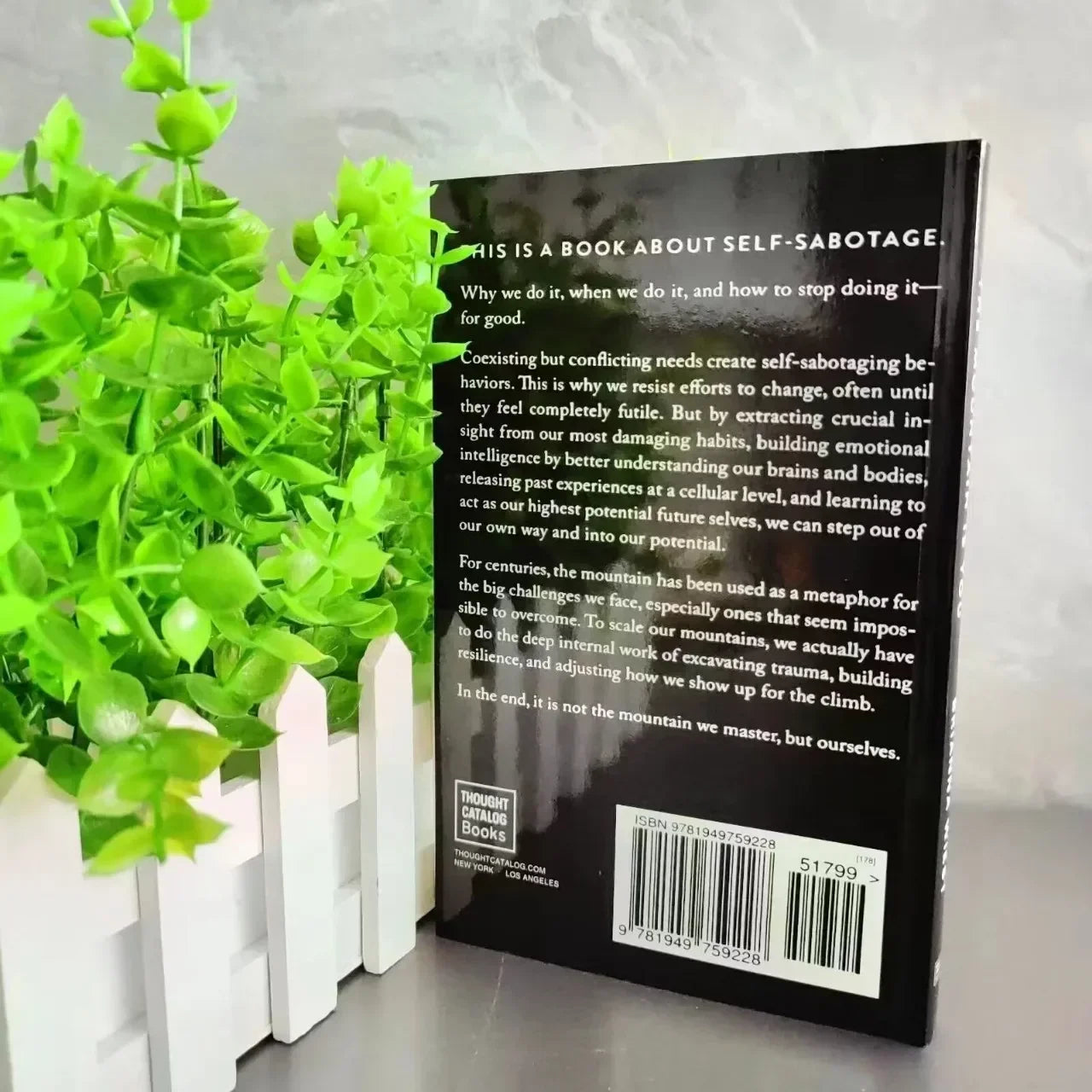 Self Mastery Personal Growth Book