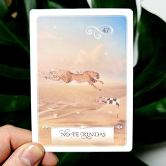 Wisdom Oracle Cards Decision Guidance Deck