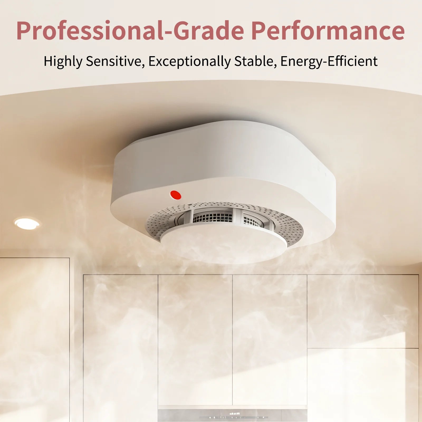Independent Smoke Detector Alarm