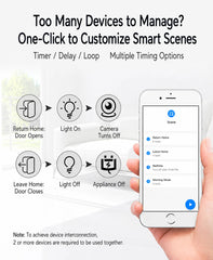 Voice Control Smart Plug