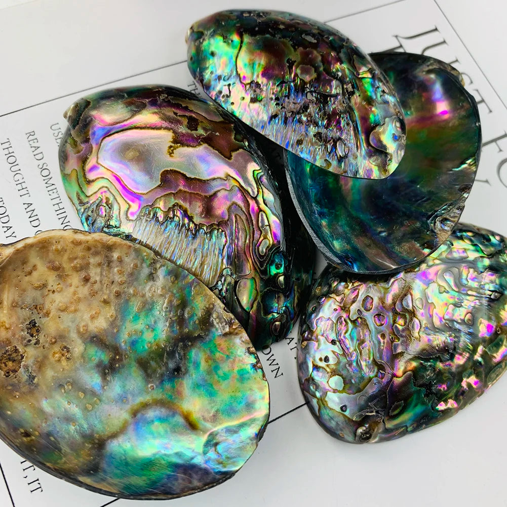 Natural Abalone Shell Spiritual Pendant Charms