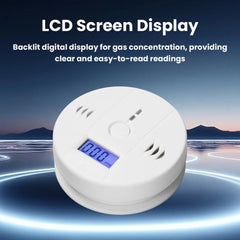 Carbon Monoxide Smoke Alarm