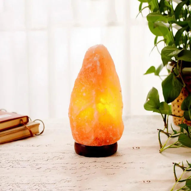 Himalayan Salt Lamp Home Decor Light