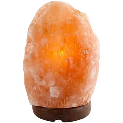 Himalayan Salt Lamp Home Decor Light