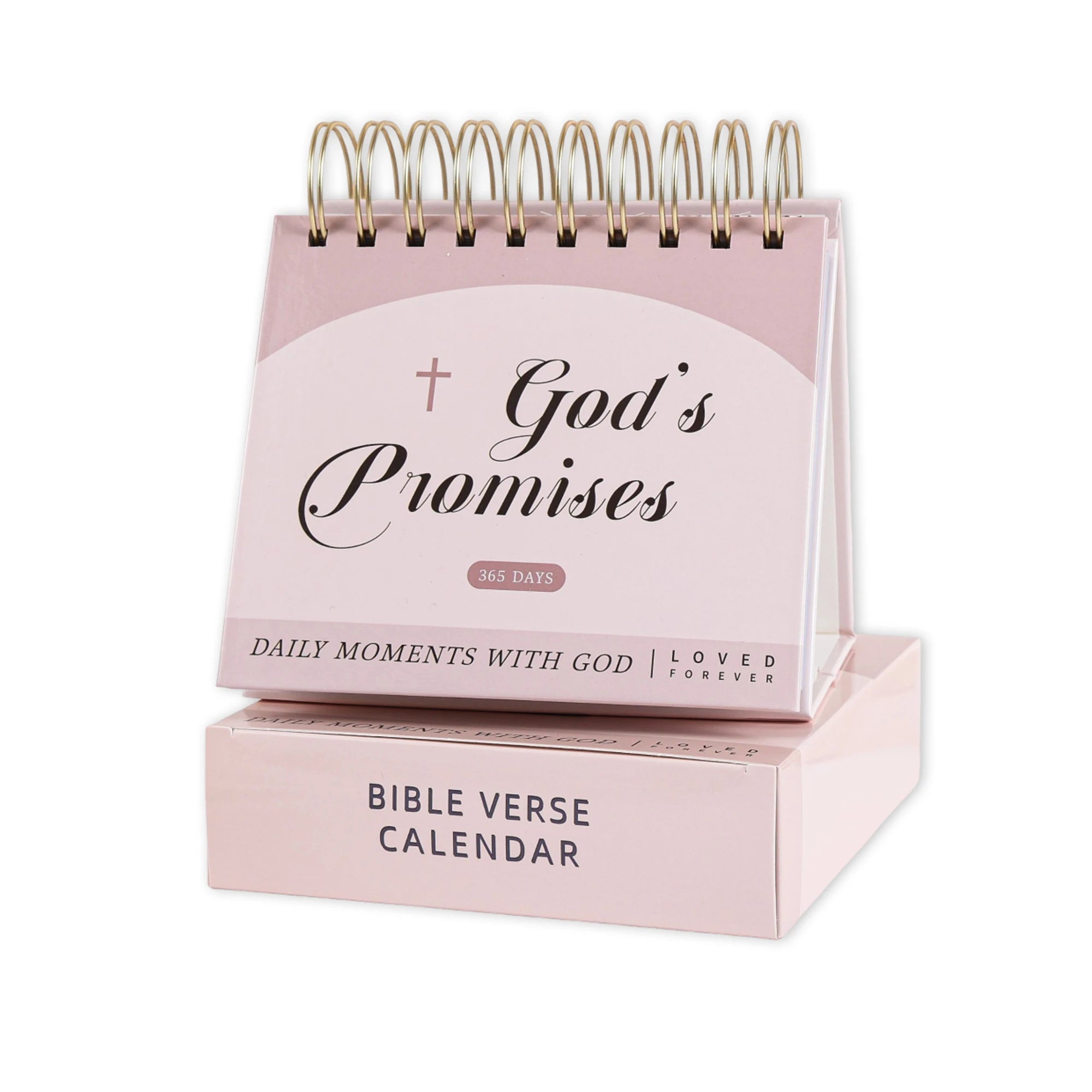 365 Day Bible Verse Calendar