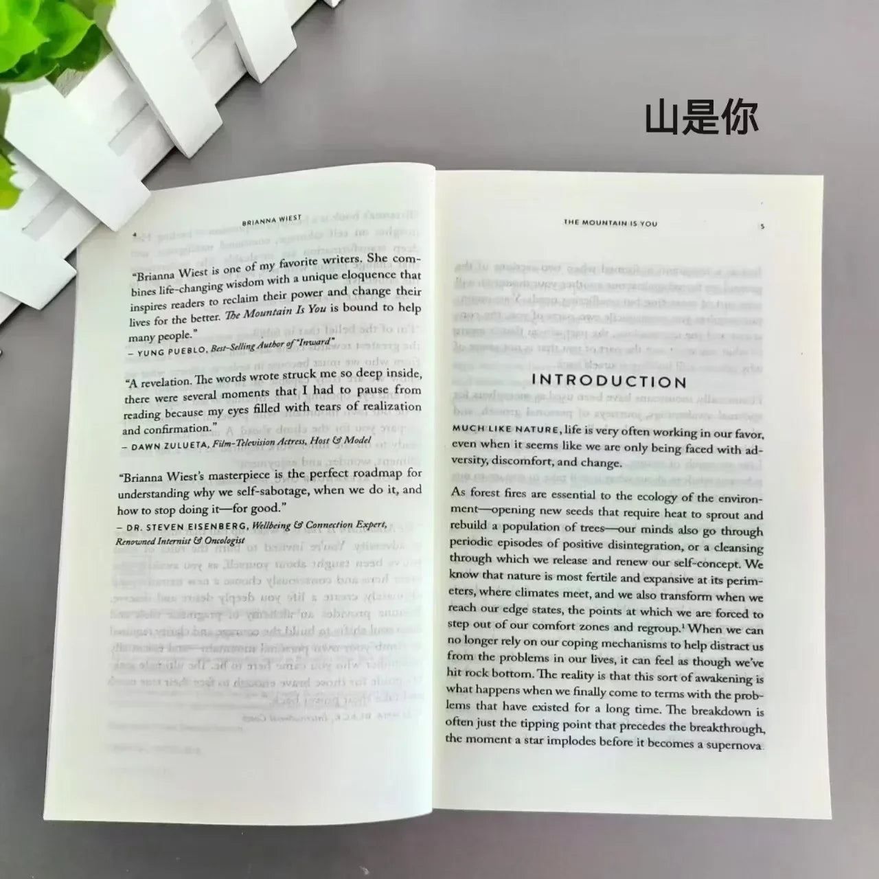 Self Mastery Personal Growth Book