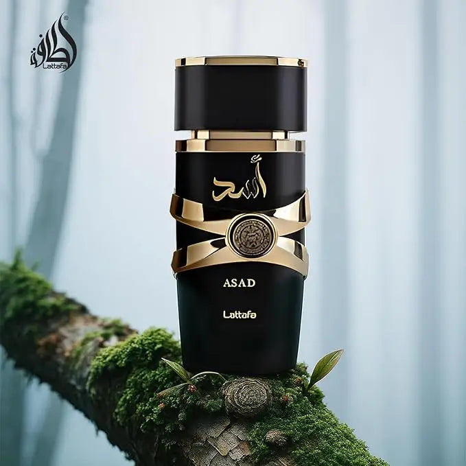 Lattafa Asad for Men Parfum aux phéromones Parfum pour femme arabe Eau de Cologne aux phéromones pour homme Attirer le sexe opposé Anniversaire
