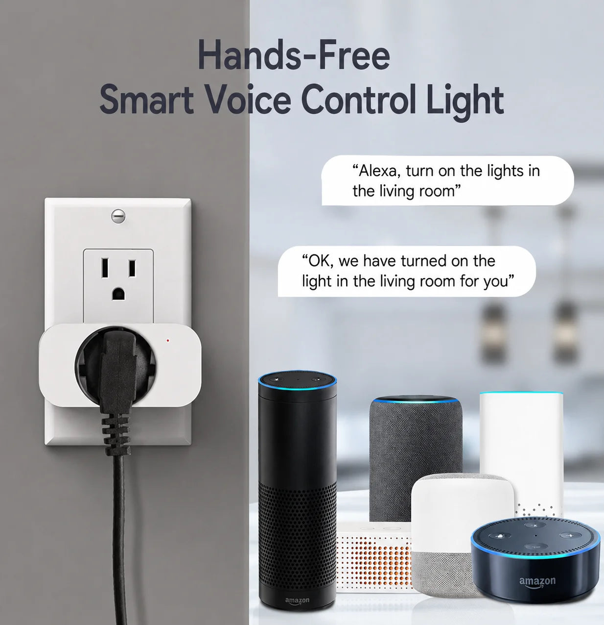 Voice Control Smart Plug