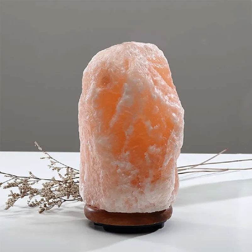 Himalayan Salt Lamp Home Decor Light