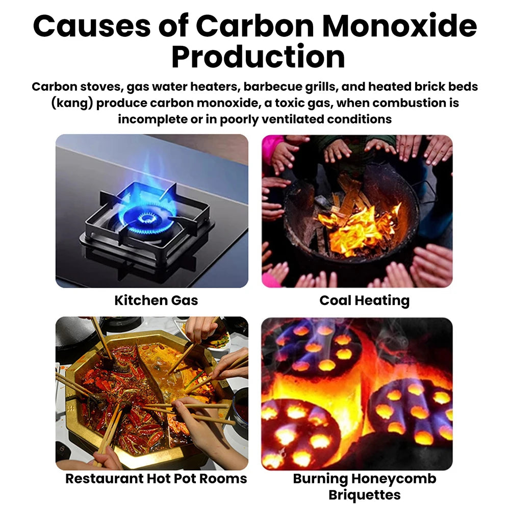 Carbon Monoxide Smoke Alarm