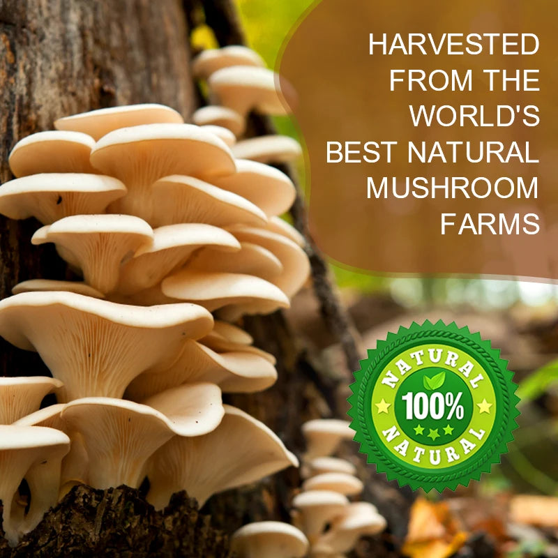 GPGP GreenPeople 226G Lion's Mane Mushroom Coffee with Reishi,Cordyceps &Turkey Tail-Energy,Mental Clarity & Focus,Brain Booster