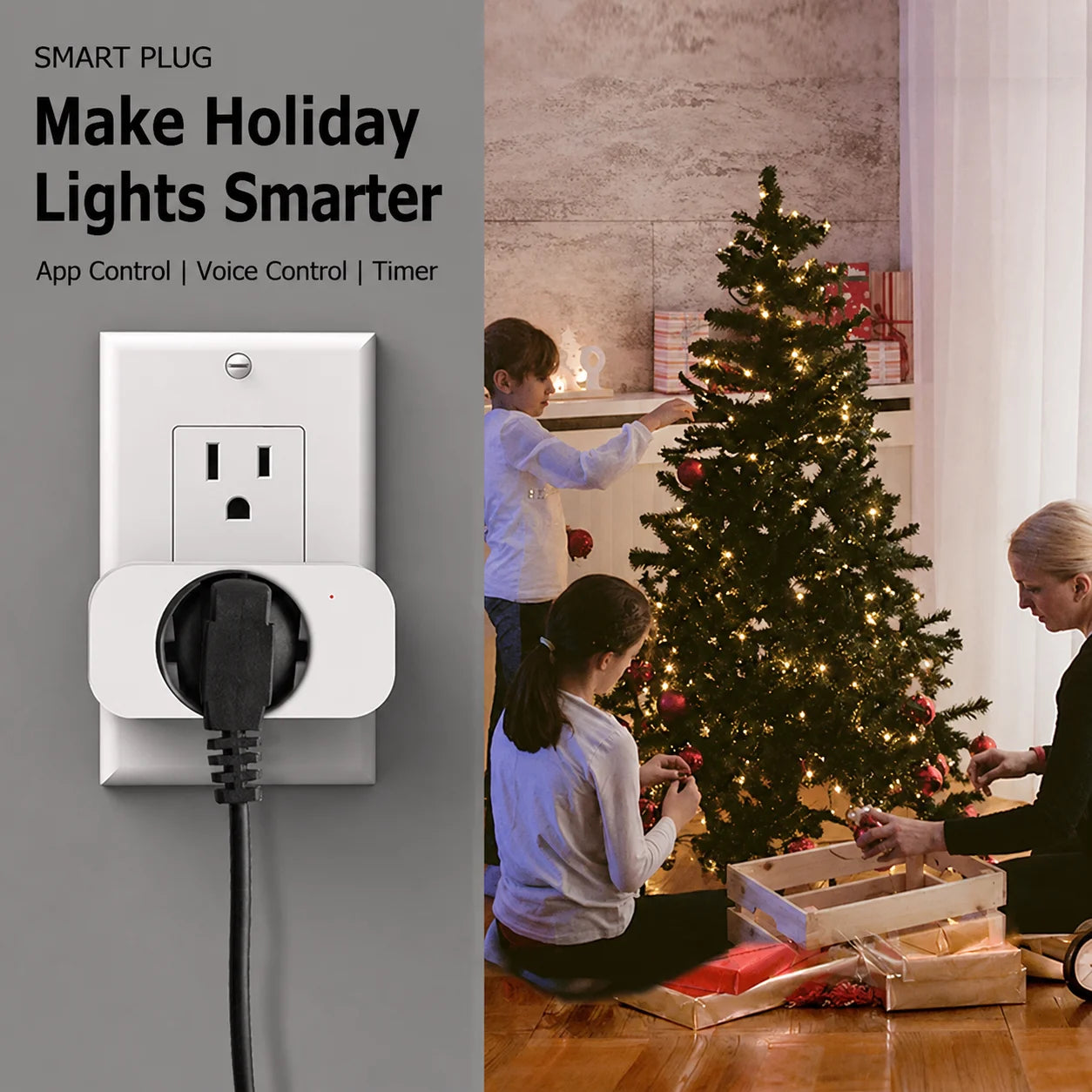 Voice Control Smart Plug