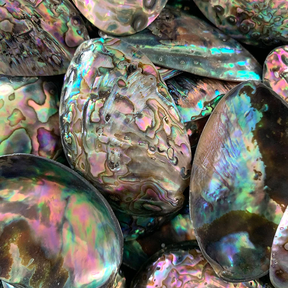 Natural Abalone Shell Spiritual Pendant Charms
