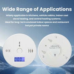 Carbon Monoxide Smoke Alarm