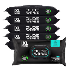 DUDE Wipes - Flushable Wipes - 6 Pack, 288 Wipes - Mint Chill Extra - Large Adult Wet Wipes - Vitamin - E, Aloe, Eucalyptus & Tea Tree Oils - Septic and Sewer Safe - Showlu Well Nation Store