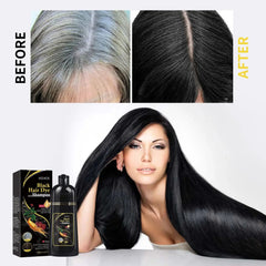 Hair Color Dye Shampoo Gray White Cover Natural Fast Dye Repair Dry Damaged Cleaning Nourishing Roots Restore Black Hair Shampoo - Showlu Well Nation Store
