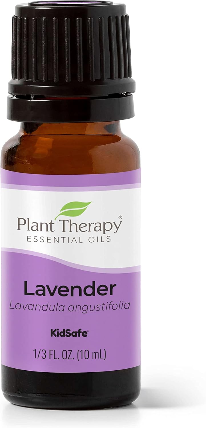 Plant Therapy Lavender Essential Oil 100% Pure, Undiluted, Therapeutic Grade, Aromatherapy Diffuser for Relaxation and Body Care, Healthy Skin and Hair, 10 mL (1/3 oz) - Showlu Well Nation Store