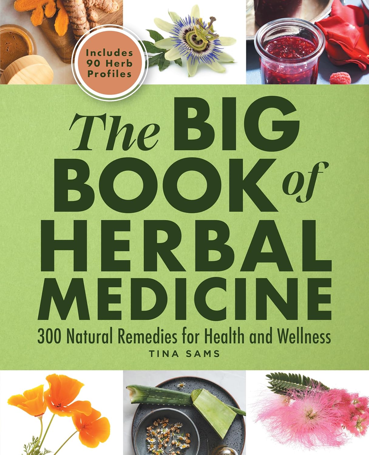 The Big Book of Herbal Medicine: 300 Natural Remedies for Health and Wellness Paperback – March 1, 2022 - Showlu Well Nation Store